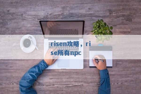 risen攻略,rise所有npc risen攻略,rise所有npc